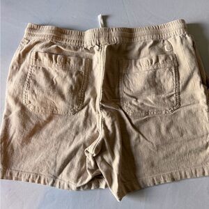 Marine Layer Men's Beige Flat Front Shorts